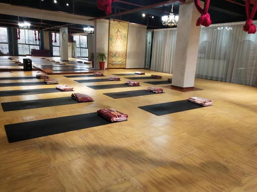 暖豐石墨烯電熱膜地暖 瑜伽館、養(yǎng)生館與健身房的應(yīng)用優(yōu)勢(shì)及研發(fā)進(jìn)展